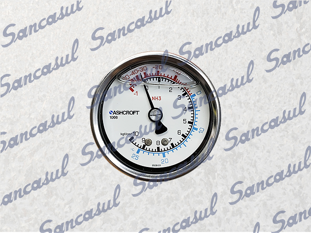 [PCSMAD2211700] 2,5" - 1/10 PRESSURE GAUGE - NH3