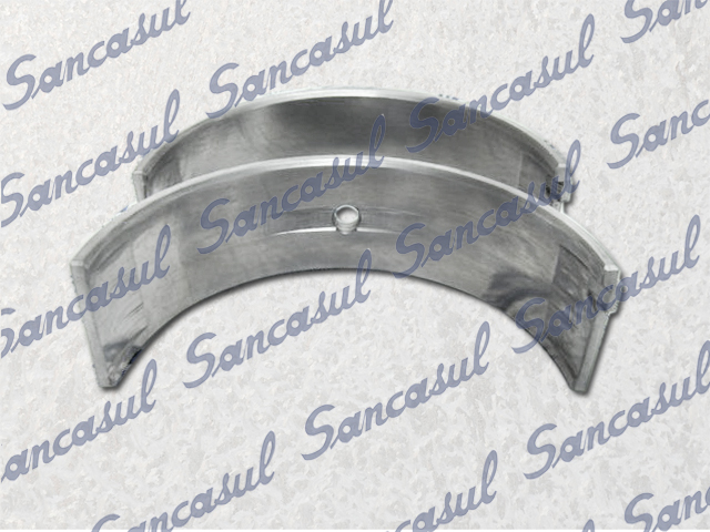 [PCMYCB000015] SEMICOJINETES - STD - B