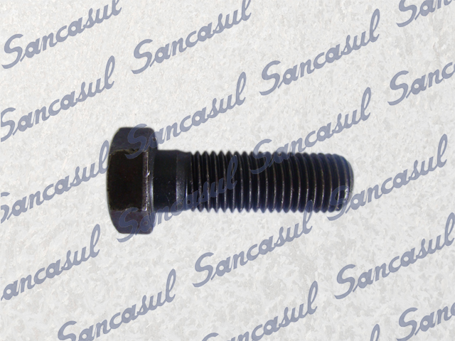 [PCMYCB000128] TORNILLO CABEZAL - WB