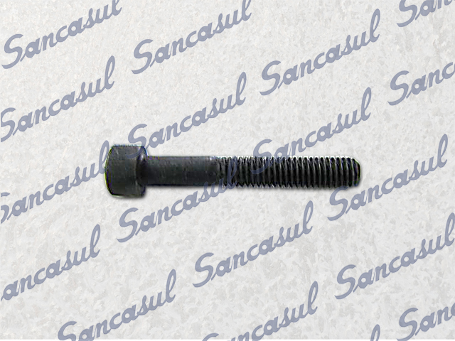 [PCSMAD0000107] TORNILLO CONTROLE DE CAP. DE CONTROLE - 16X11