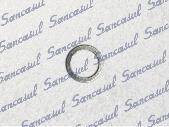 [PCSSAB2356138] CIRCULAR ALUMINUM GASKET - 31X24X1,5 - 65/CMO 1/2