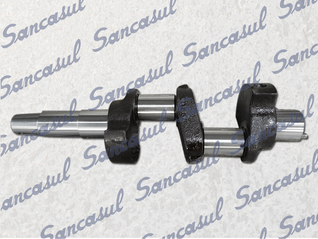 [PCSSAB3121197] CIGUENÃL T/CMO 28