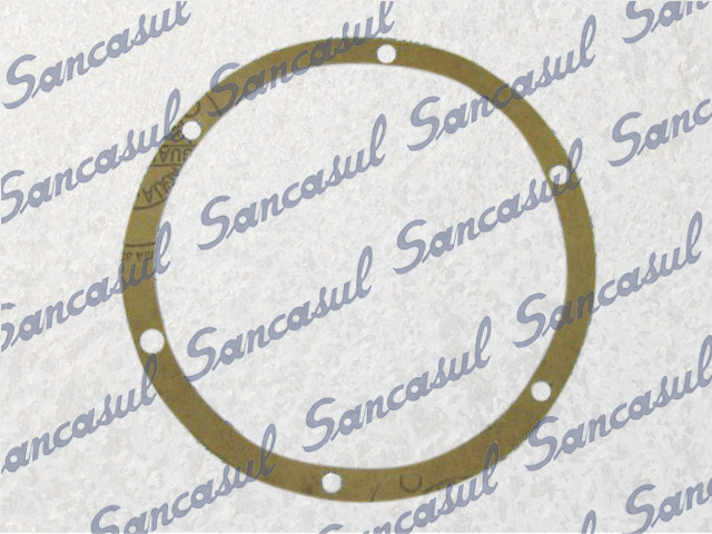 [PCSSAB2353140] GASKET Ø163/141X0.25