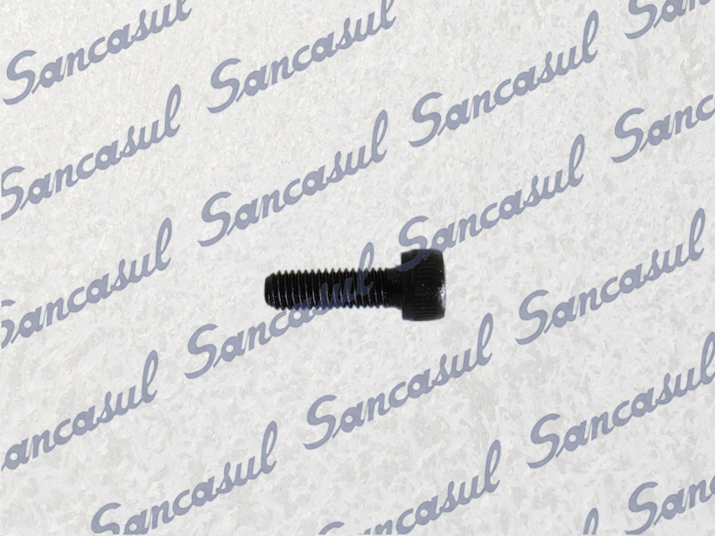 [PCSSAB1413331] HEX SOCKET BOLT M5X16 
