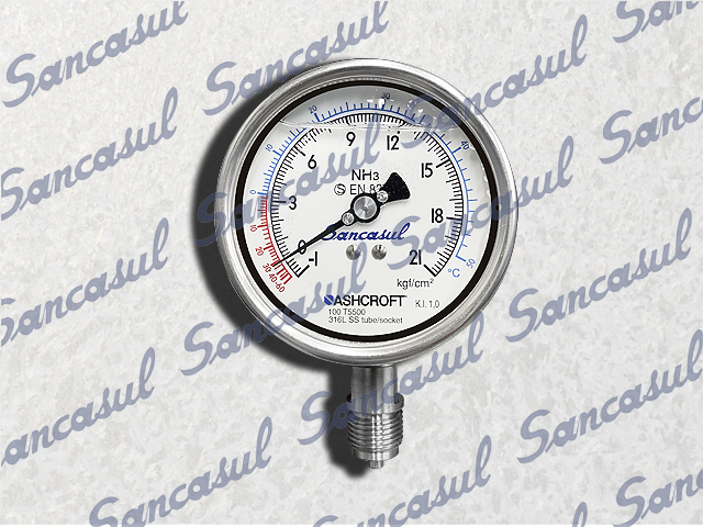IN-LINE PRESSURE GAUGE 4" - 1-21 BAR