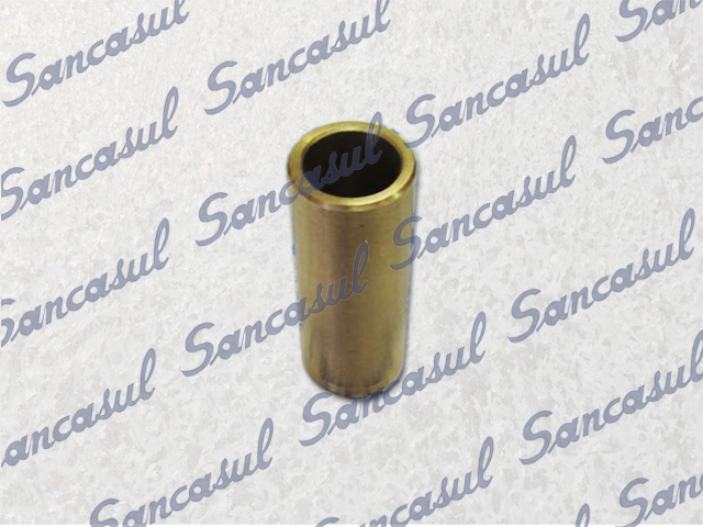 [PCMYCB000077] CASQUILLO MAS GRANDE DE BOMBA DE ACEITE - B