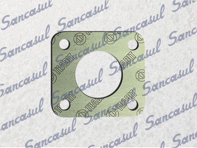 [PCSSAB2354105] MAIN VALVE GASKET - 2.1/2 - 100 MK2/3/4