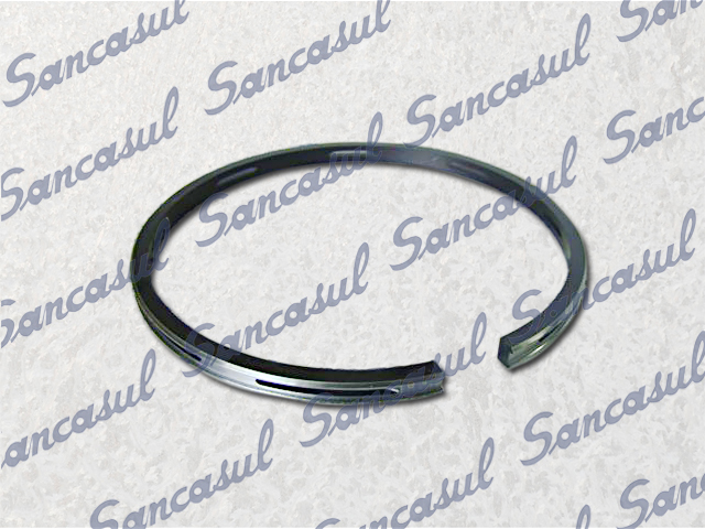 [PCMYCA000005] OIL  RING FCPCBC3 - A (101)