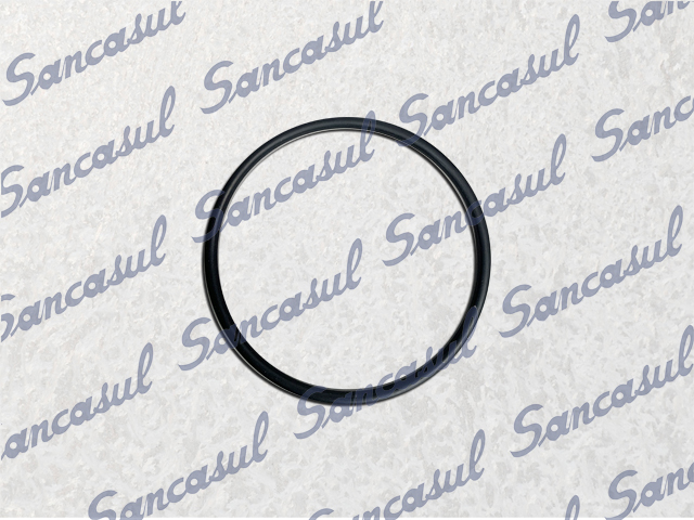 O'RING - 110,49X5,33 - 100