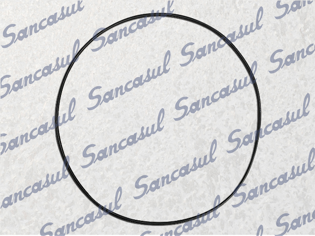 [PCSSAB1331103] JUNTA TÓRICA - 266,29X3,53