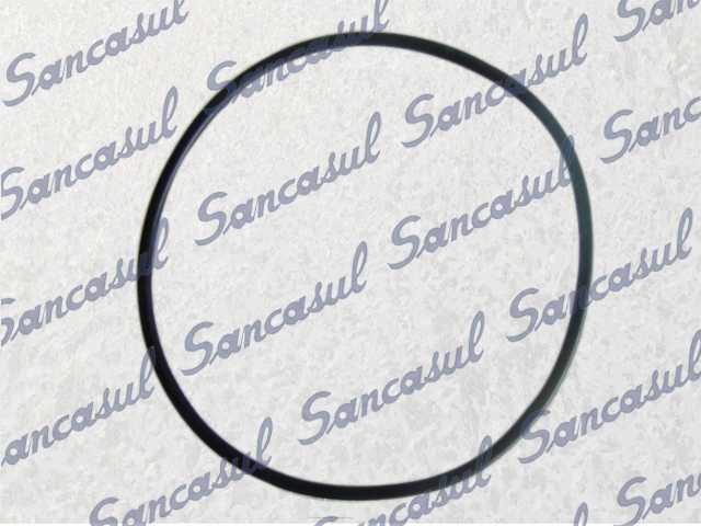 [PCMYPR000507] O'RING G110