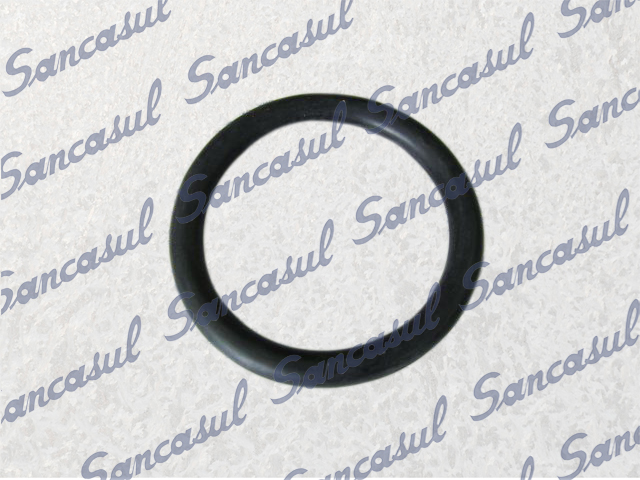 [PCSSAB3126016] O'RING LARGER FOR SHAFT SEAL SMC100