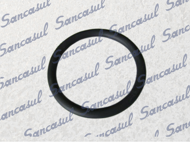 [PCSSAB3126055] O'RING MINOR FOR SHAFT SEAL SMC100