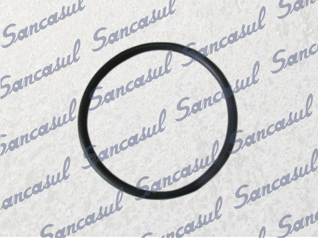 [PCMYCA000011] O RING OIL PUMP A/C (58)