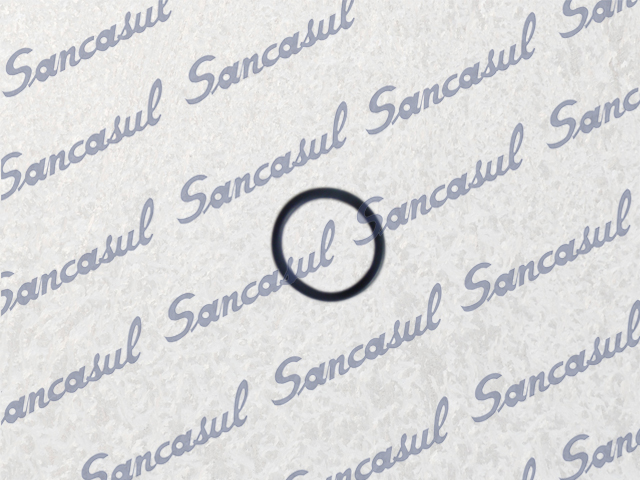 [PCMYPR000179] O'RING P21