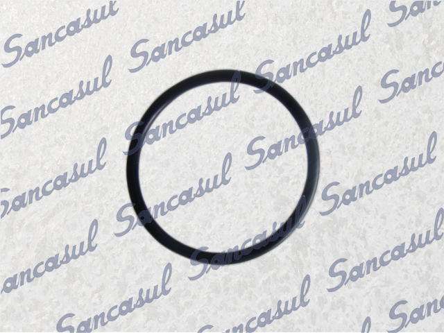 [PCMYPR000178] O'RING P75