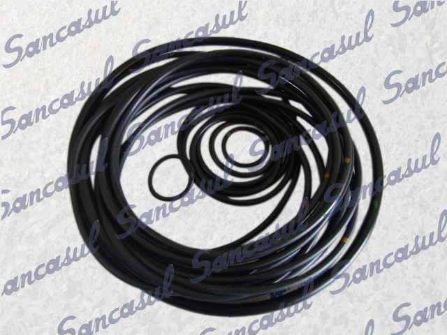 [PCMYPR000289] JOGO DE ANEL RETENTOR 200 S/LUD
