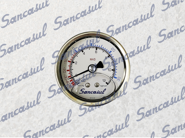 [PCMYCA000598] PRESSURE GAUGE 12KG-2,5" NH3