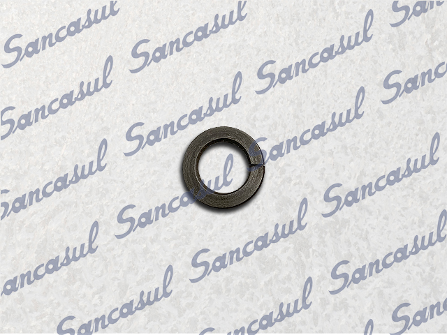 [PCSSAB0000189] PRESSURE WASHER - CMO