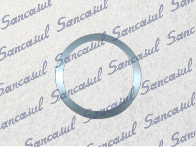 [PCSSAB3131065]  RING PLATE Ø175/145X0,8 SMC 180 
