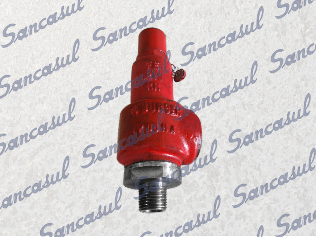 [PCMYCA000343] SAFETY VALVE EXTERNAL MOUNTING 9KG (213)