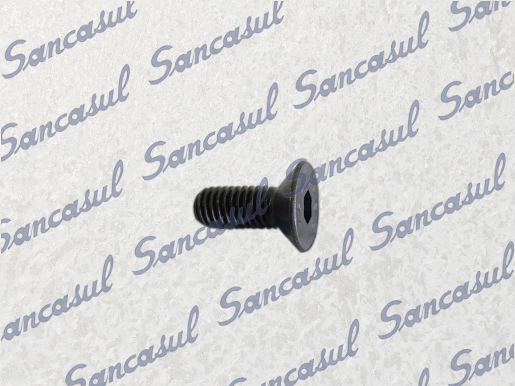 [PCSSAB1413090] SCREW FOR BALANCE 65/100