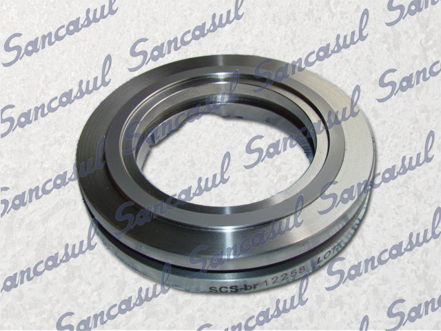[PCMYCB000117] DOBLE ANILLO DE CIERRE GIRATORIO - NH3 - B
