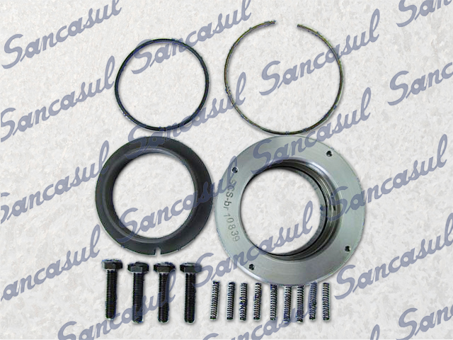 [PCSSAB3126155] SHAFT SEAL FOR T/SMC 100