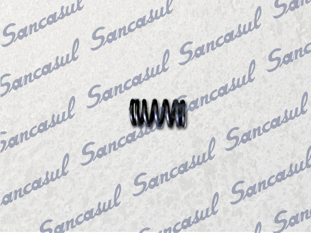 [PCSMAD2321807] SHAFT SEAL SPRING - 11X8 (NEW)