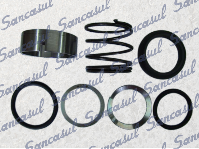 [PCSSAB3126002] SHAFT SEAL T/SMC 100