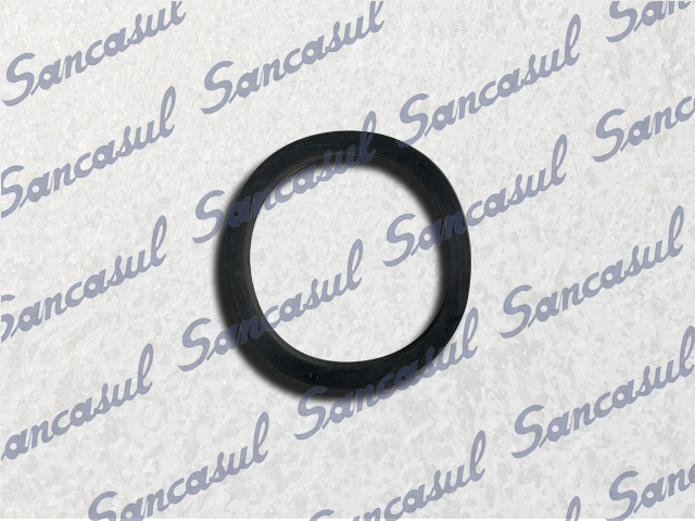 [PCSSAB1334994] SUCTION FILTER RUBBER RING - 100 MK1