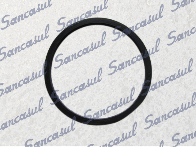 [PCSSAB3422983] ANEL BORRACHA FILTRO SUC. - 180