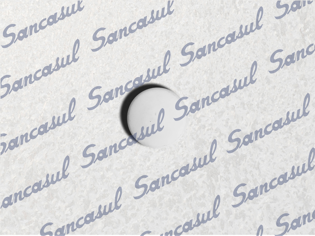 [PCSSAB2354010] TEFLON GASKET - 22,2X3 - 65