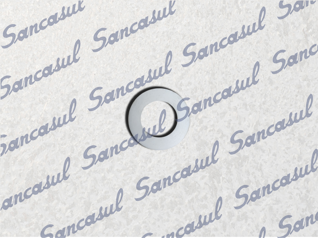 [PCSSAB2354015] TEFLON GASKET - 29,5 X 16 X 1,5 - CMO 4