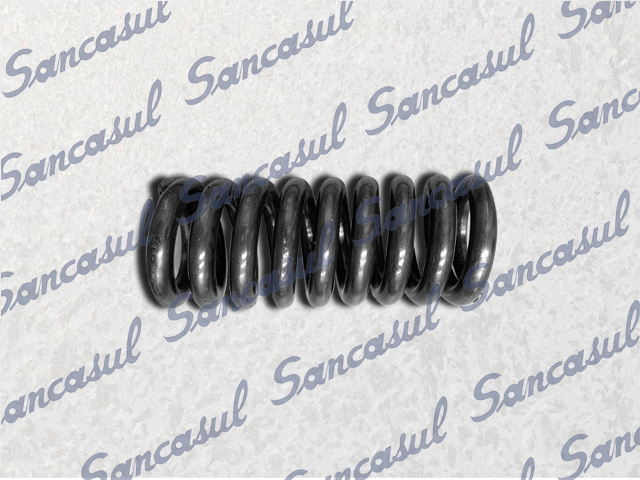 [PCSSAB2143052] VALVE SPRING - 19/24BAR - DIAMETER.25
