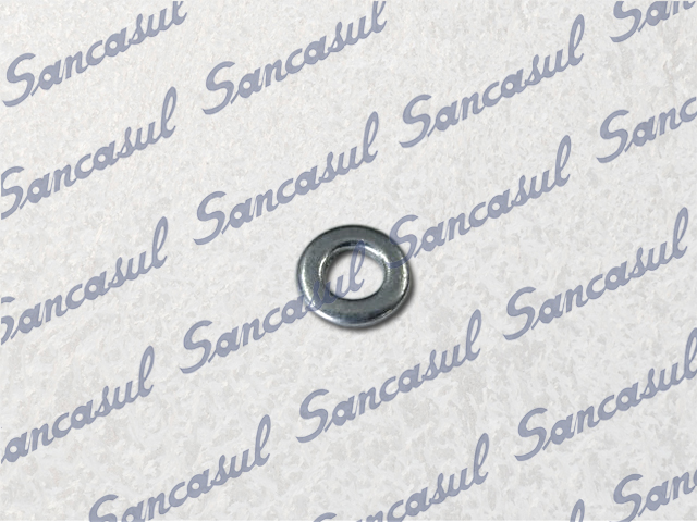 [PCSSAB2114002] WASHER Ø10/5.3X1.0 - 180