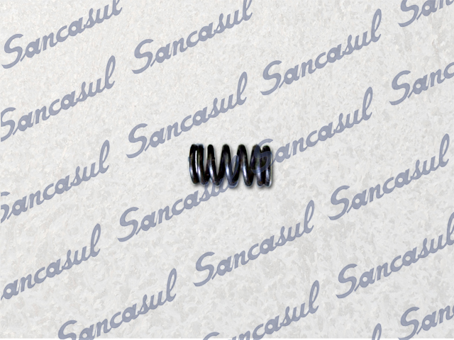 SHAFT SEAL SPRING - 11X8 (NEW)
