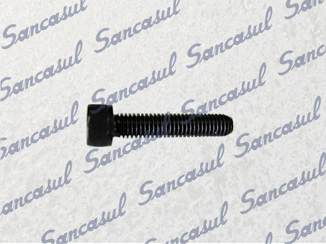 HEX SOCKET BOLT M6X30