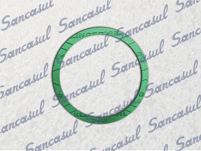 EMPAQUE CIRCULAR - 143X124X1 - 65/100