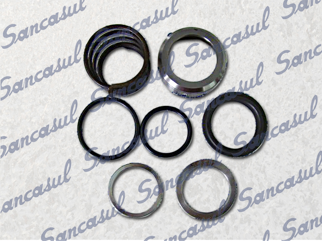 SHAFT SEAL T/SMC 65