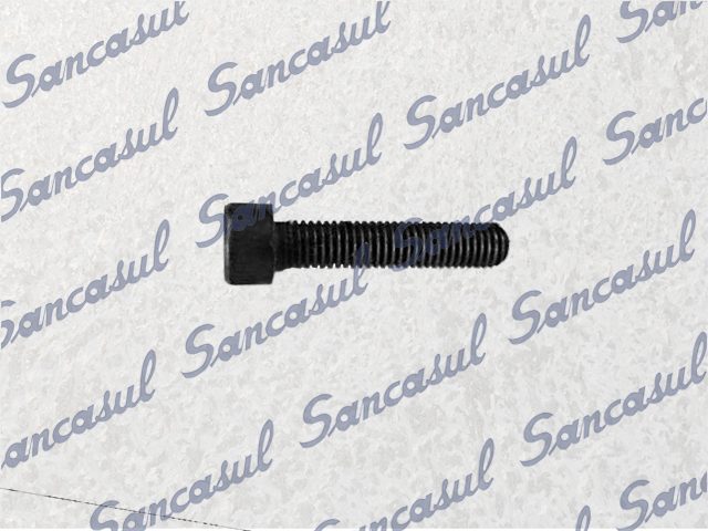 HEX SOCKET BOLT M5X25