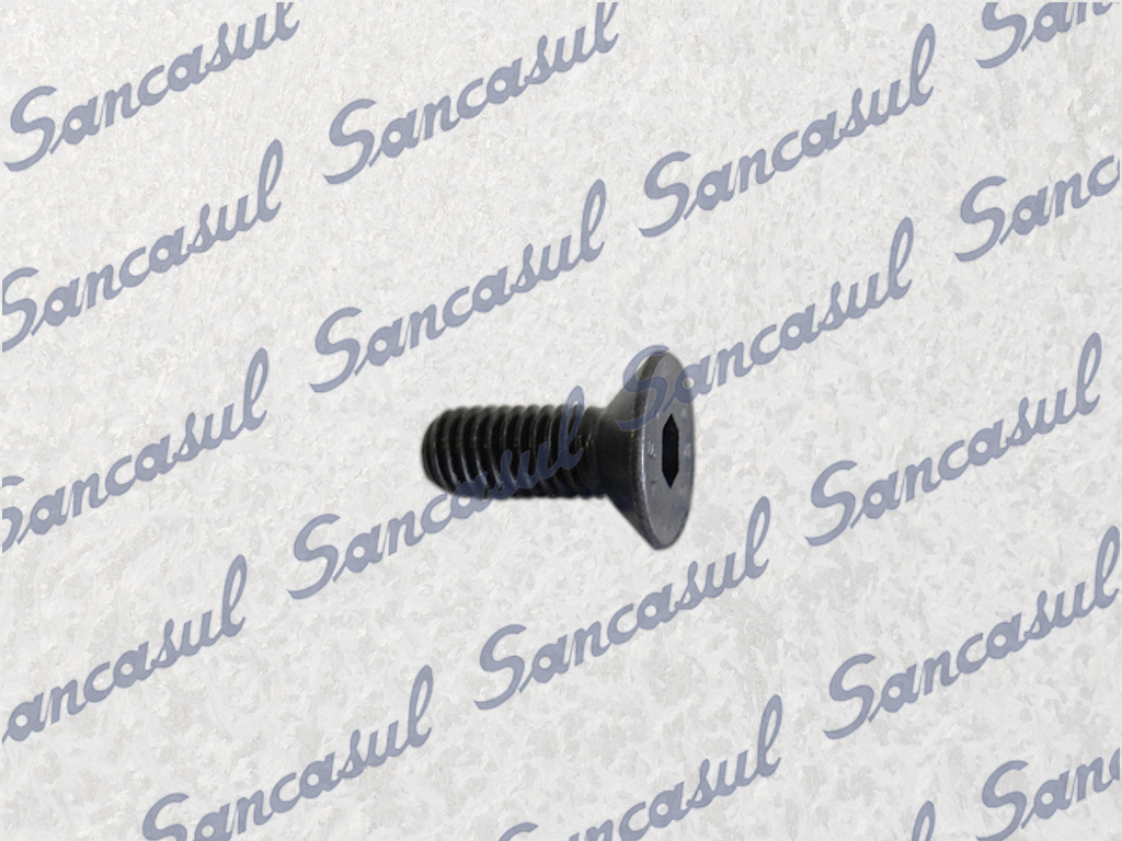 SCREW FOR BALANCE 65/100