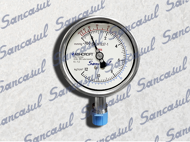 IN-LINE PRESSURE GAUGE  4&quot; - 1-12 BAR